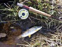 20130330_164640.jpg