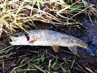 20130330_172452.jpg