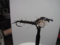 blackiceweb.jpg