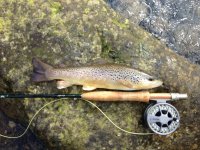 FirstTrout.JPG