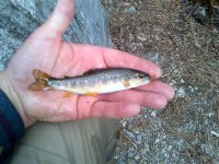 rsz_img-20130404-00117.jpg