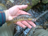 rsz_img-20130404-00120.jpg