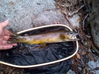 rsz_img-20130404-00121.jpg