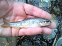 rsz_img-20130404-00114.jpg