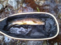 rsz_img-20130404-00115.jpg