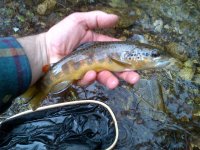 rsz_img-20130404-00116.jpg