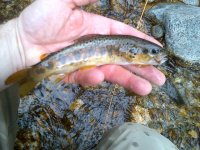 rsz_img-20130404-00118.jpg