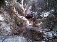 rsz_img-20130404-00119.jpg
