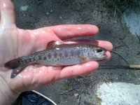 rsz_img-20130406-00123.jpg