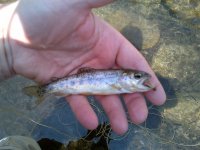 rsz_img-20130406-00124.jpg