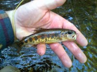 rsz_img-20130406-00127.jpg