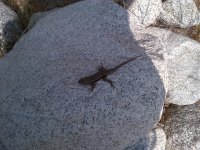 rsz_img-20130406-00128.jpg