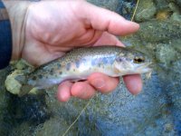 rsz_img-20130406-00129.jpg