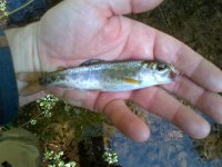 rsz_img-20130406-00130.jpg