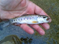 rsz_img-20130406-00131.jpg