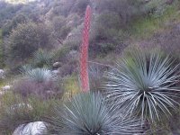 rsz_img-20130406-00132.jpg