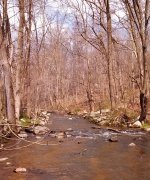 Brandywine.jpg