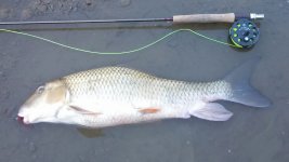 IMG_20130427_163803_797-1.jpg