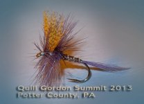 Quill_Gordon_Summit_2013_fly_by_Sandfly_shop.jpg