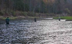 The_Sasquatch-salvelinusfontinalis-bikerfish_on the_Pine_Creek_Saturday_Apr27th_2013.jpg