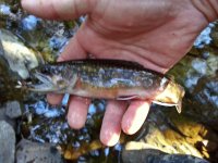 20130503_075844.jpg
