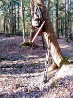 20130503_081423.jpg