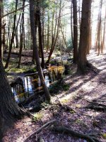 20130503_085600.jpg