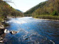 20130503_113527.jpg