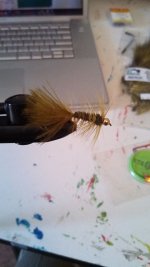 woolly bugger.jpg