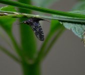D70_8517 (2)_01.JPG