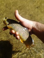 IMG_20130623_162025.jpg