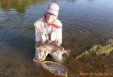 Bull Pasture Rainbow.jpg