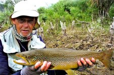 Monster Brown.jpg