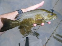 Smallie 1.jpg