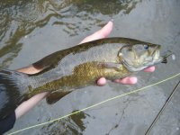 Smallie 3.jpg