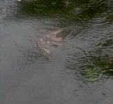 20130803_105618.jpg