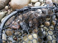 20130803_105803.jpg