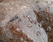 20130803_095531.jpg