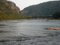 P1.jpg