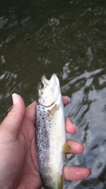 Img_0053.jpg