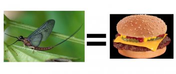 Cheezeburger.jpg