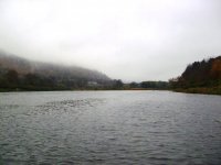 foggy morning on junction pool.JPG