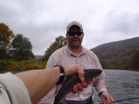 stimey's bow.JPG