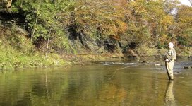 IMG_8122_zps62d7aa36.jpg