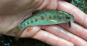 100_0230.JPG