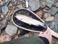 Muddy bow 120513.jpg