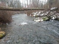 20131229_131349.jpg