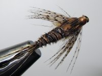 sulphur nymph 1.jpg