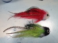 Musky Fly Creeper.jpeg