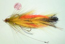 Musky3.jpg